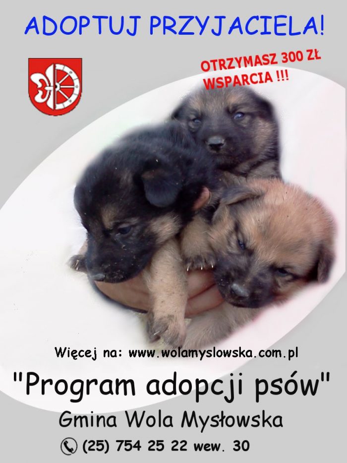 plakat adopcja psów